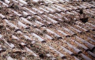 Upton Rocks roof cleaning companies